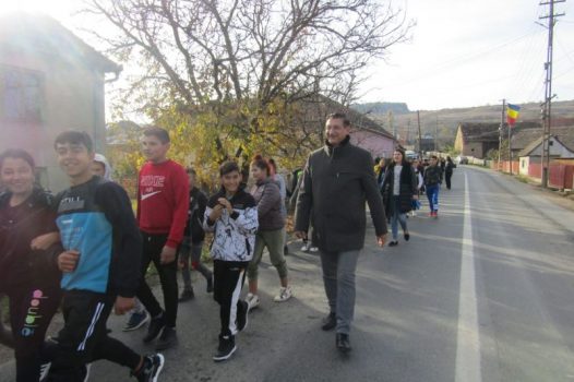 STRUCTURILE PJ-ULUI ȘI RESURSELE UMANE