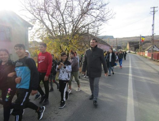 STRUCTURILE PJ-ULUI ȘI RESURSELE UMANE