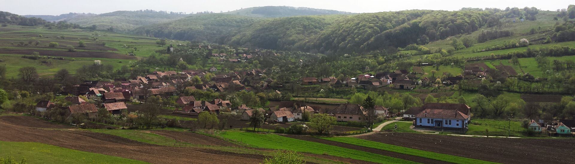 Poiecte Școala Gimnazială “Petre N. Popescu” Vânători