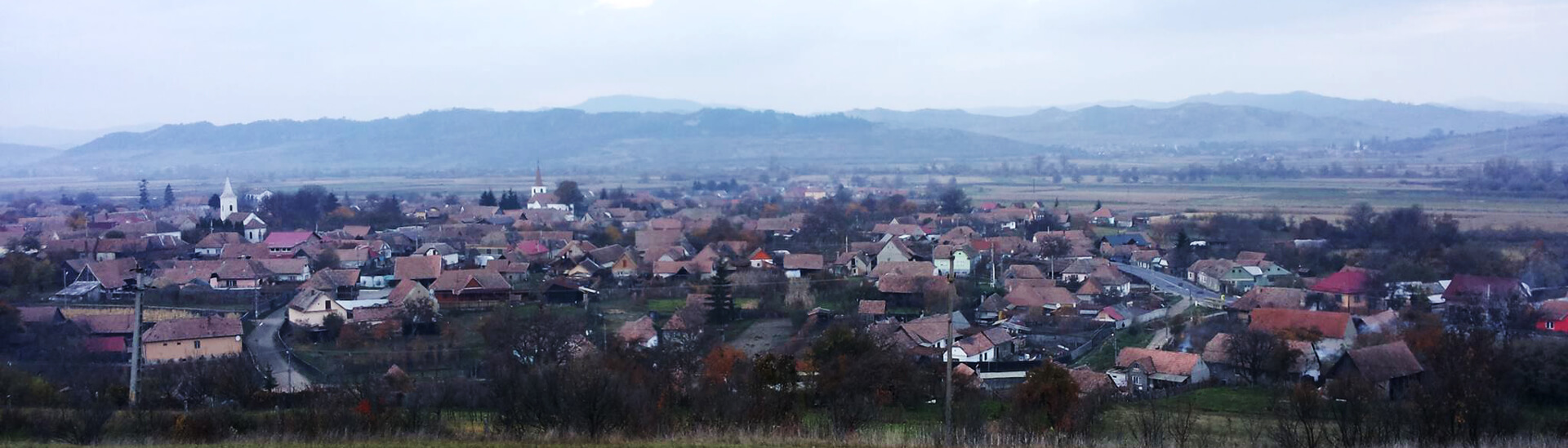 Școala Gimnazială "Petre N. Popescu" Vânători